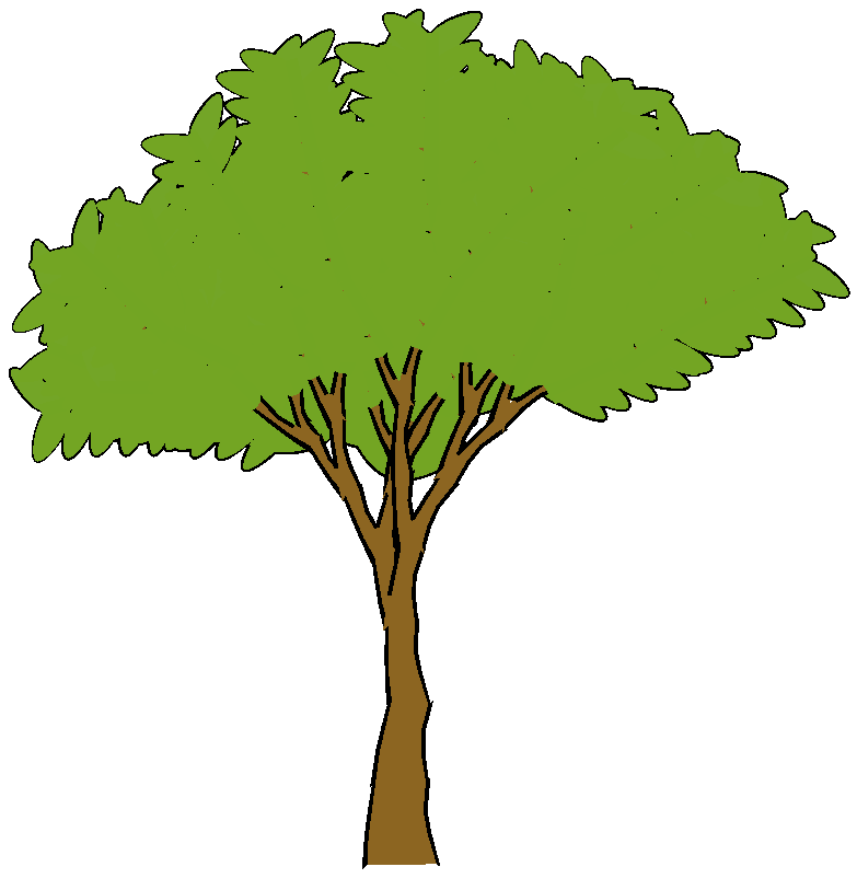 Tree Leaf Png Images & Pictures - Becuo