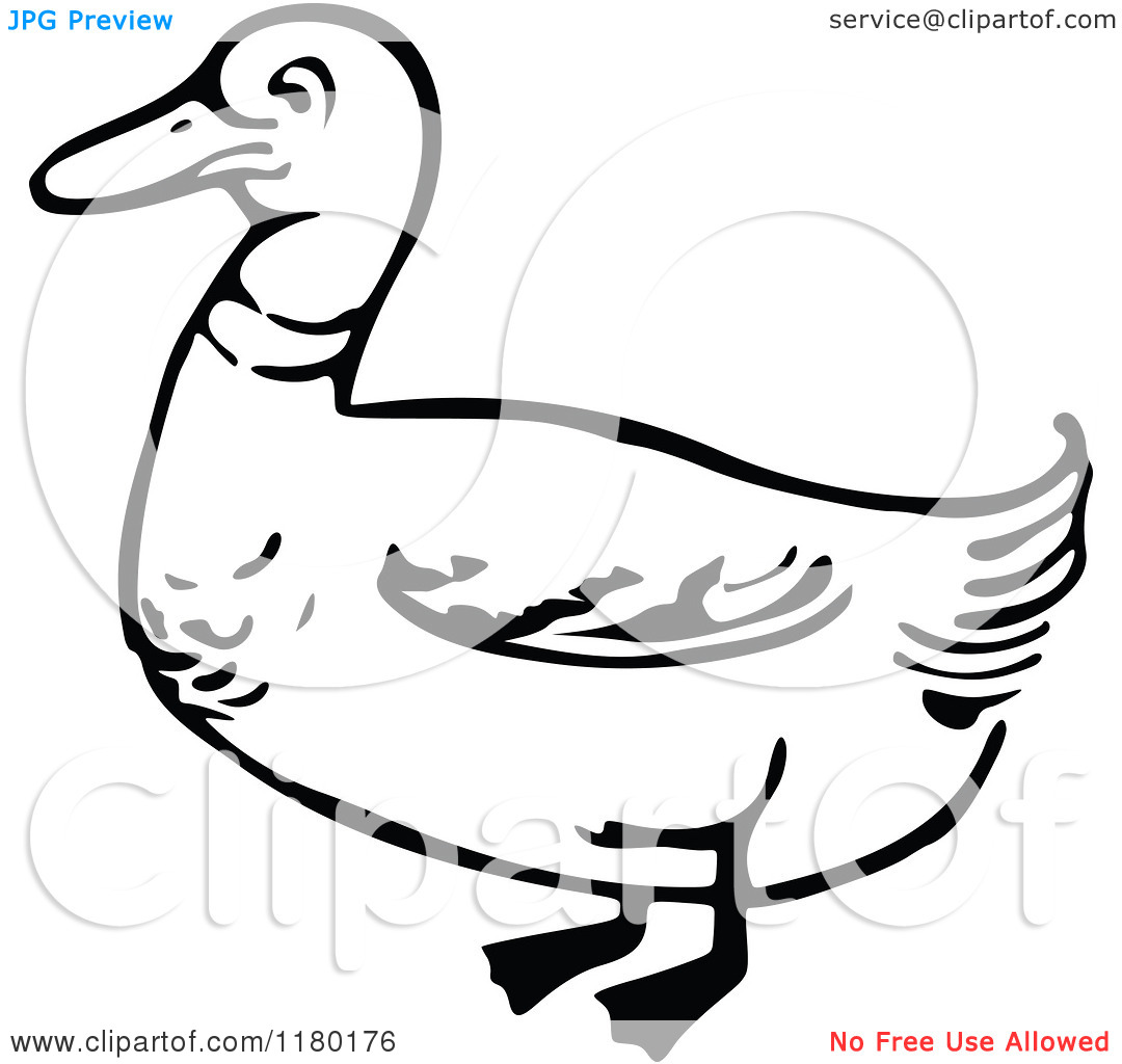 Mallard Duck Clipart Black And White | Clipart Panda - Free ...