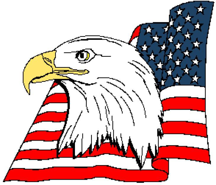 American Eagle Head w Flag Tunisian Simple Stitch Crochet Afghan ...
