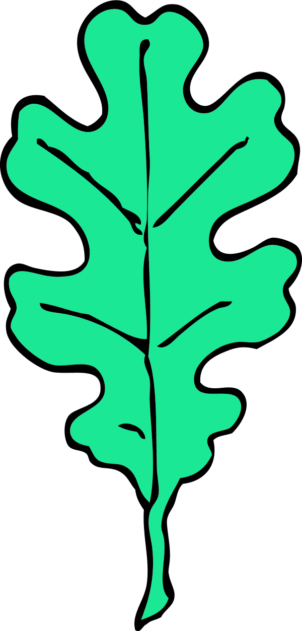 oak leaf - color variation D
