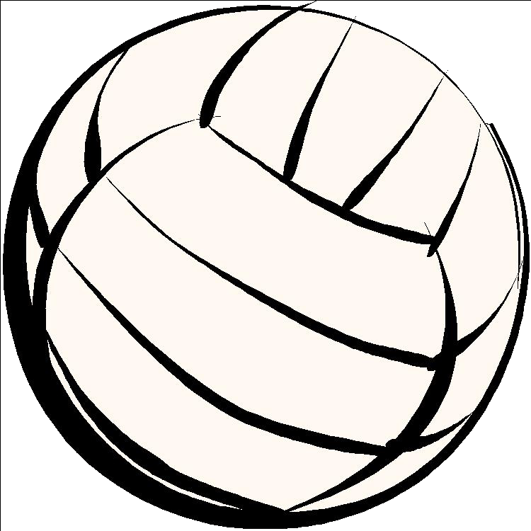 Precision Volleyball Camps Website
