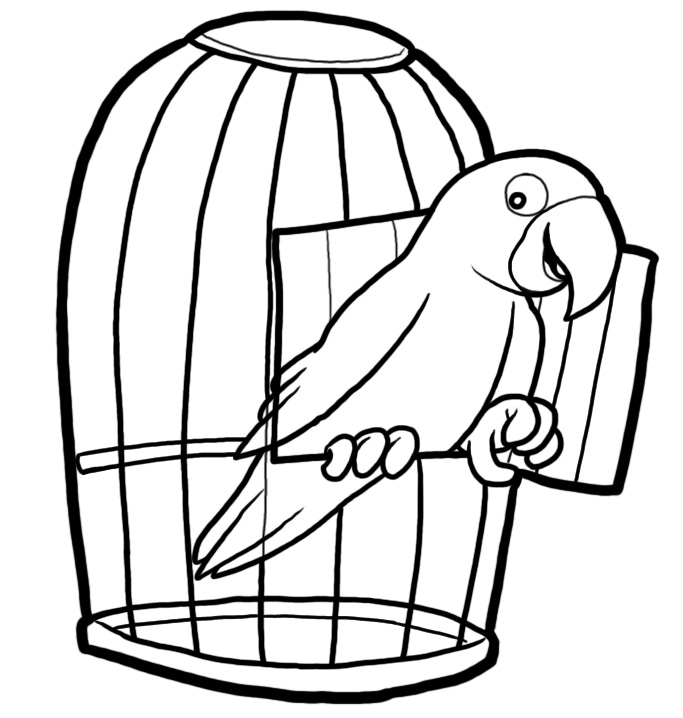 Bird Uncaged | MyChurchToolbox.org