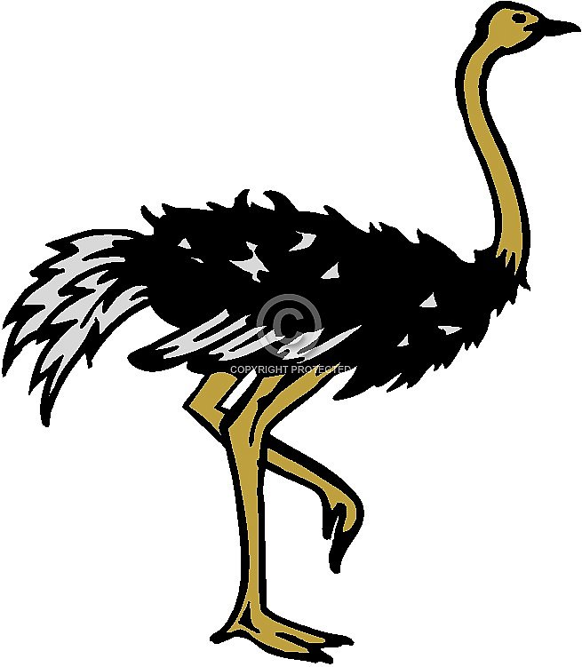 Ostrich Clip Art - Cliparts.co