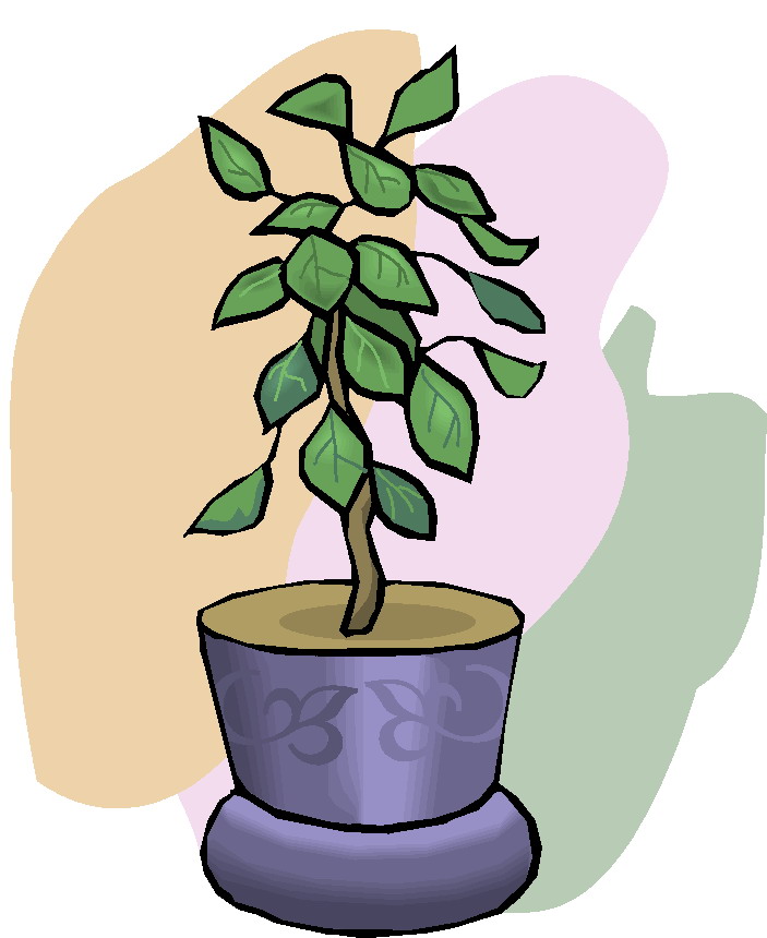Plant Clip Art For Elementary Students | Clipart Panda - Free ...