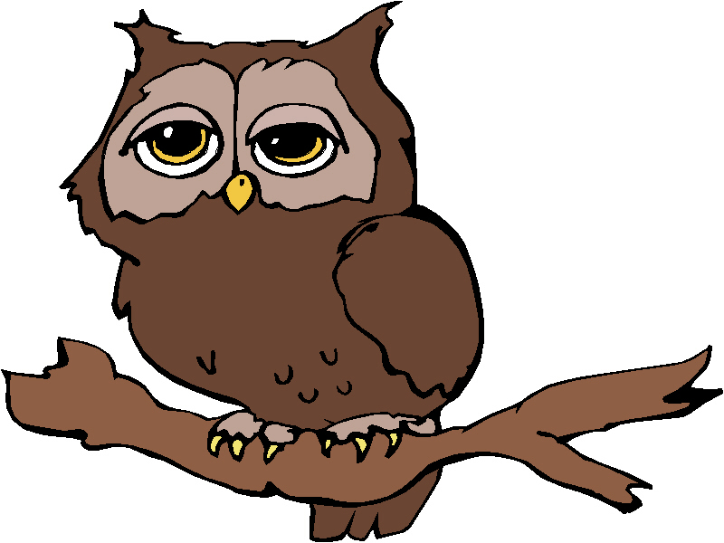 Clipart night owl