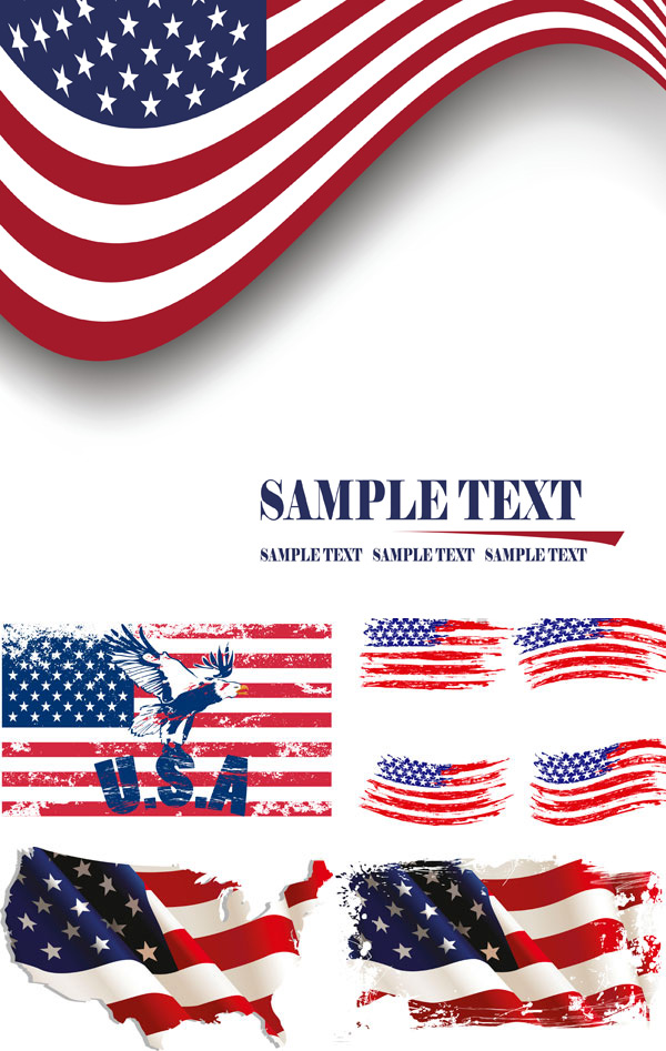 U.S. flag vector | Vector icon