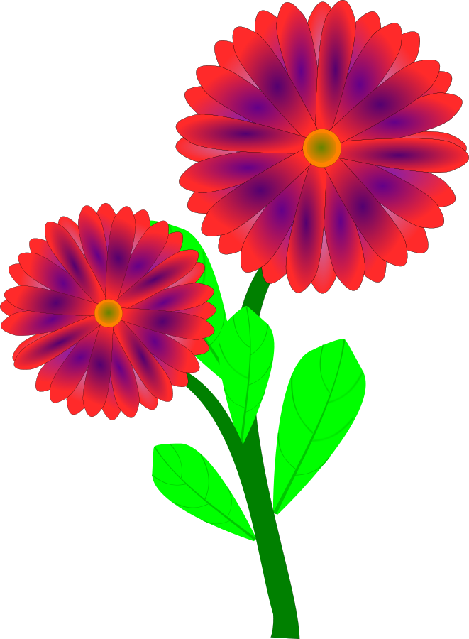 Flowers gerbera Clipart, vector clip art online, royalty free ...