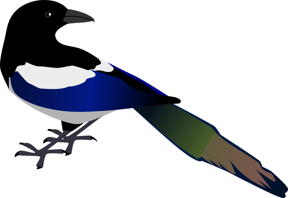 OnlineLabels Clip Art - Magpie