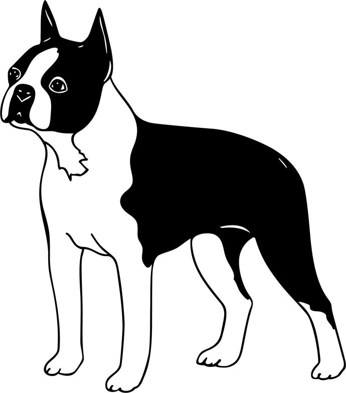 Boston Terrier Cartoon : Terrier Boston Clipart Dog Clip Silhouette ...