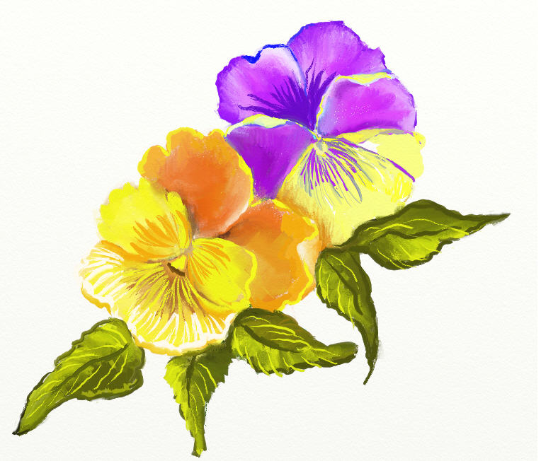 Pavot-blanc Flowers Flowers clipart 4 embroidery [] - $3.50 ...