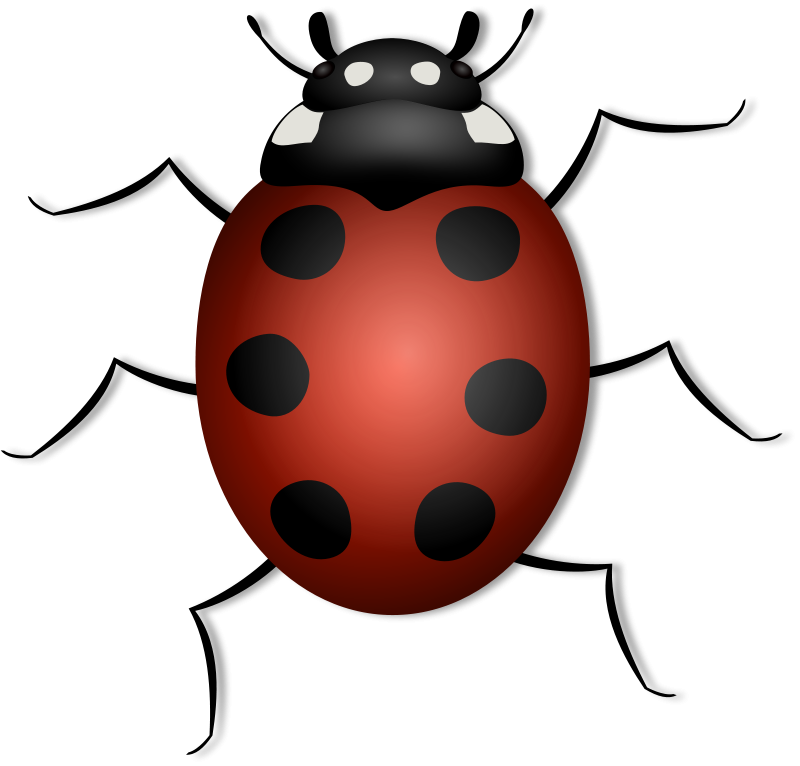 Ladybug Clip Art Download