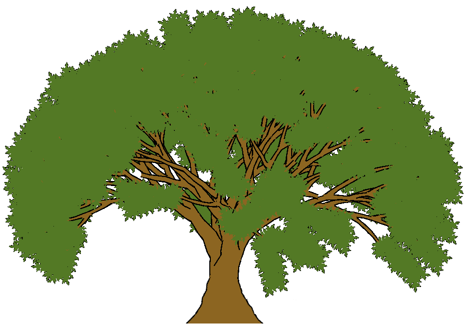Cartoon Tree Image
