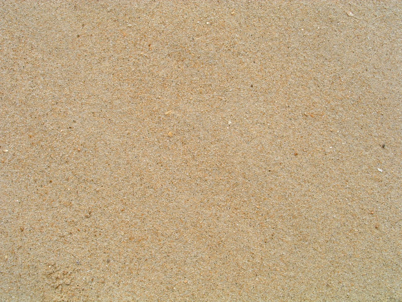 File:Sand.jpg - Wikimedia Commons