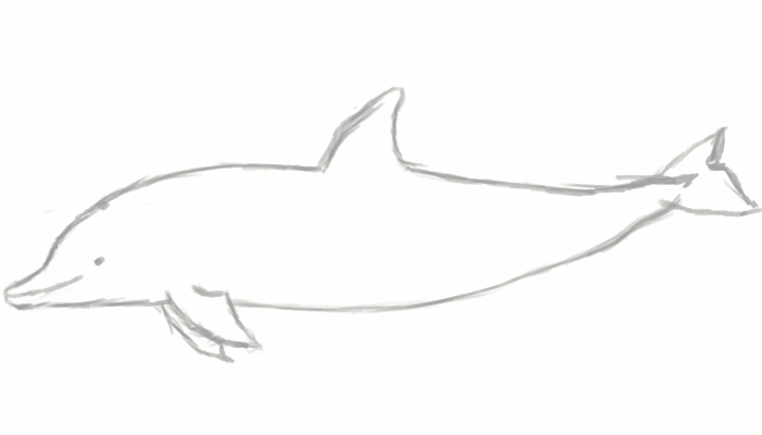 Dolphin Animation WIP by GlitzyChan on DeviantArt