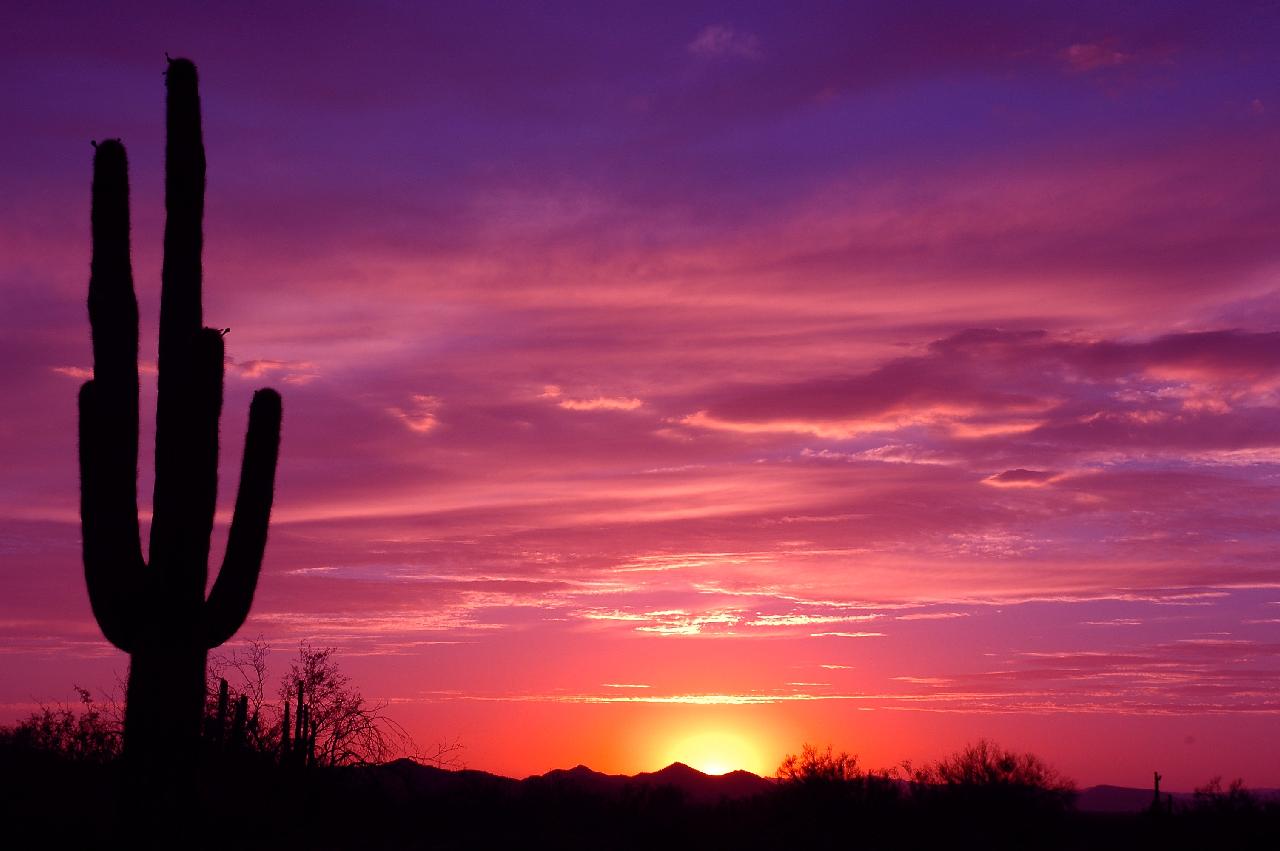 Sunset Pictures