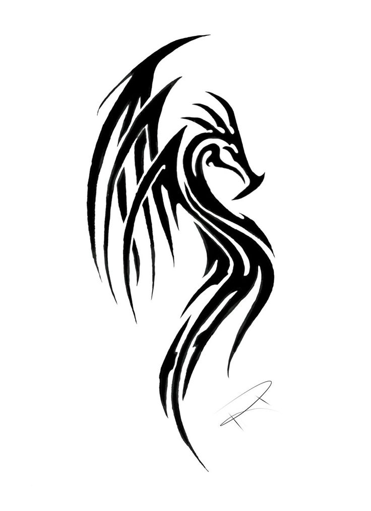 Tribal Dragon Tattoos | Tattoo Design 2010 2012 - Free Download ...