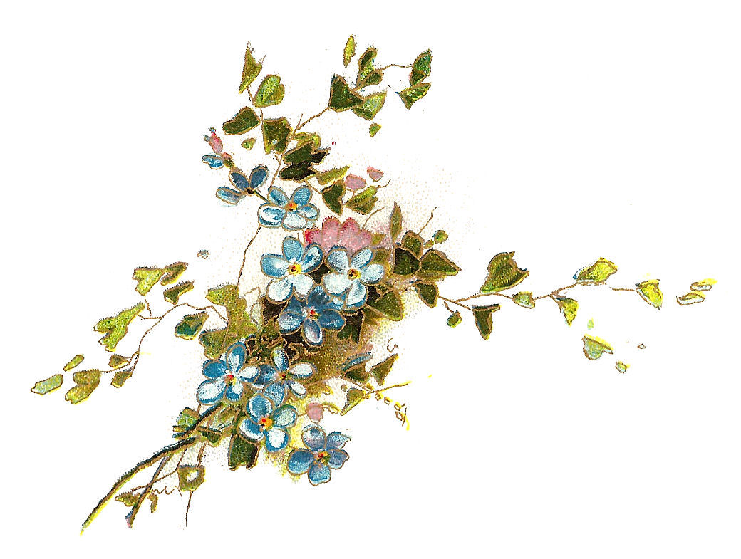 Vintage Flower Png - ClipArt Best