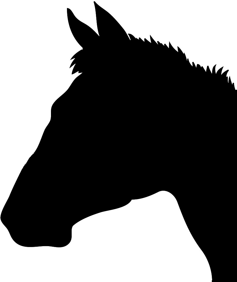Horse Head Silhouette | xoVain