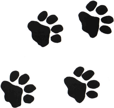 Tiger Paw Print Clipart
