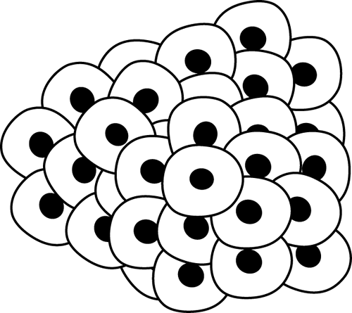 Animals - Clipart Pictures