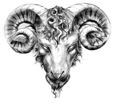 Aries Taurus Tattoo of Ram Head, Big Bull Horns | Just Free Image ...