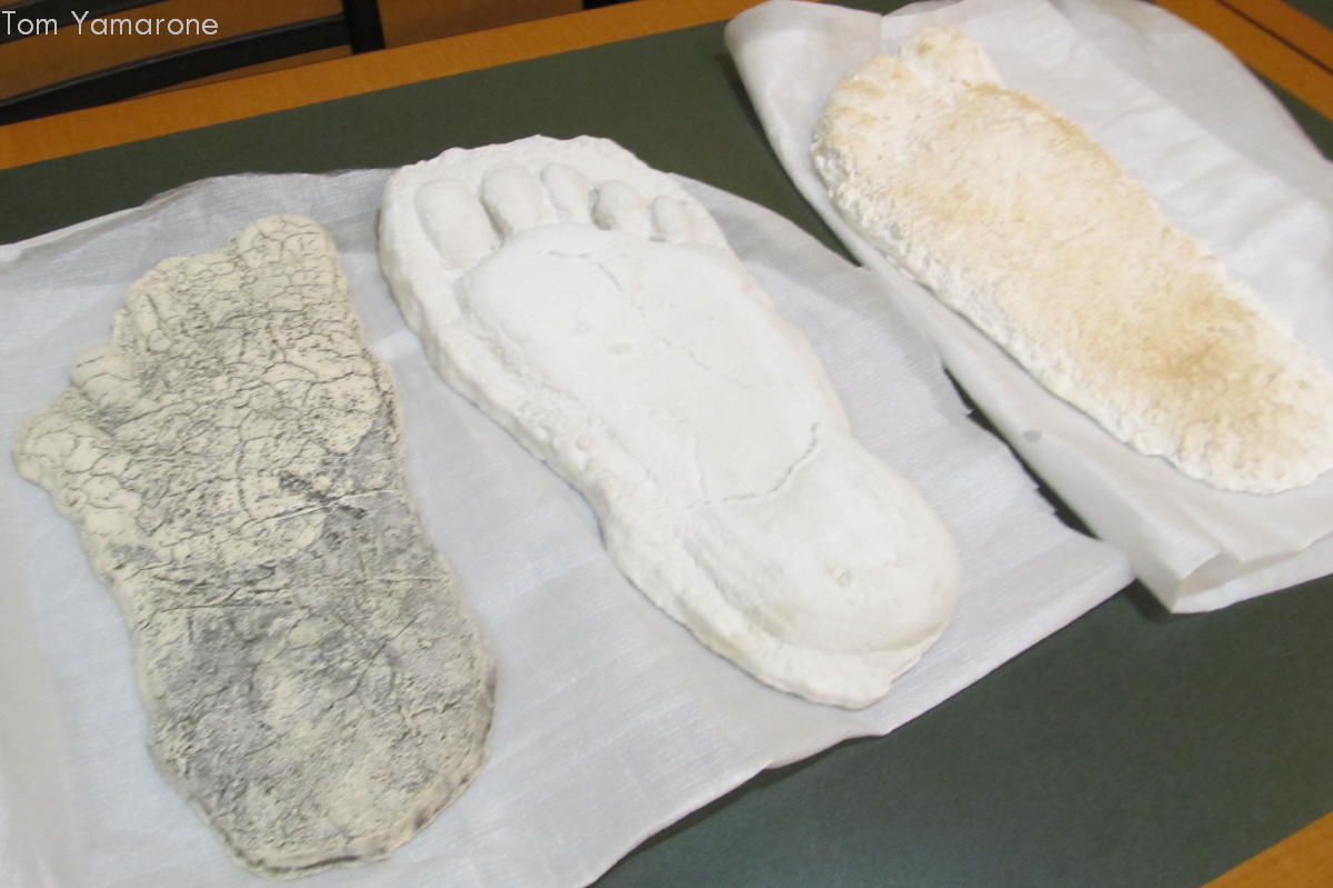 Bigfoot_footprint_casts_at_ ...