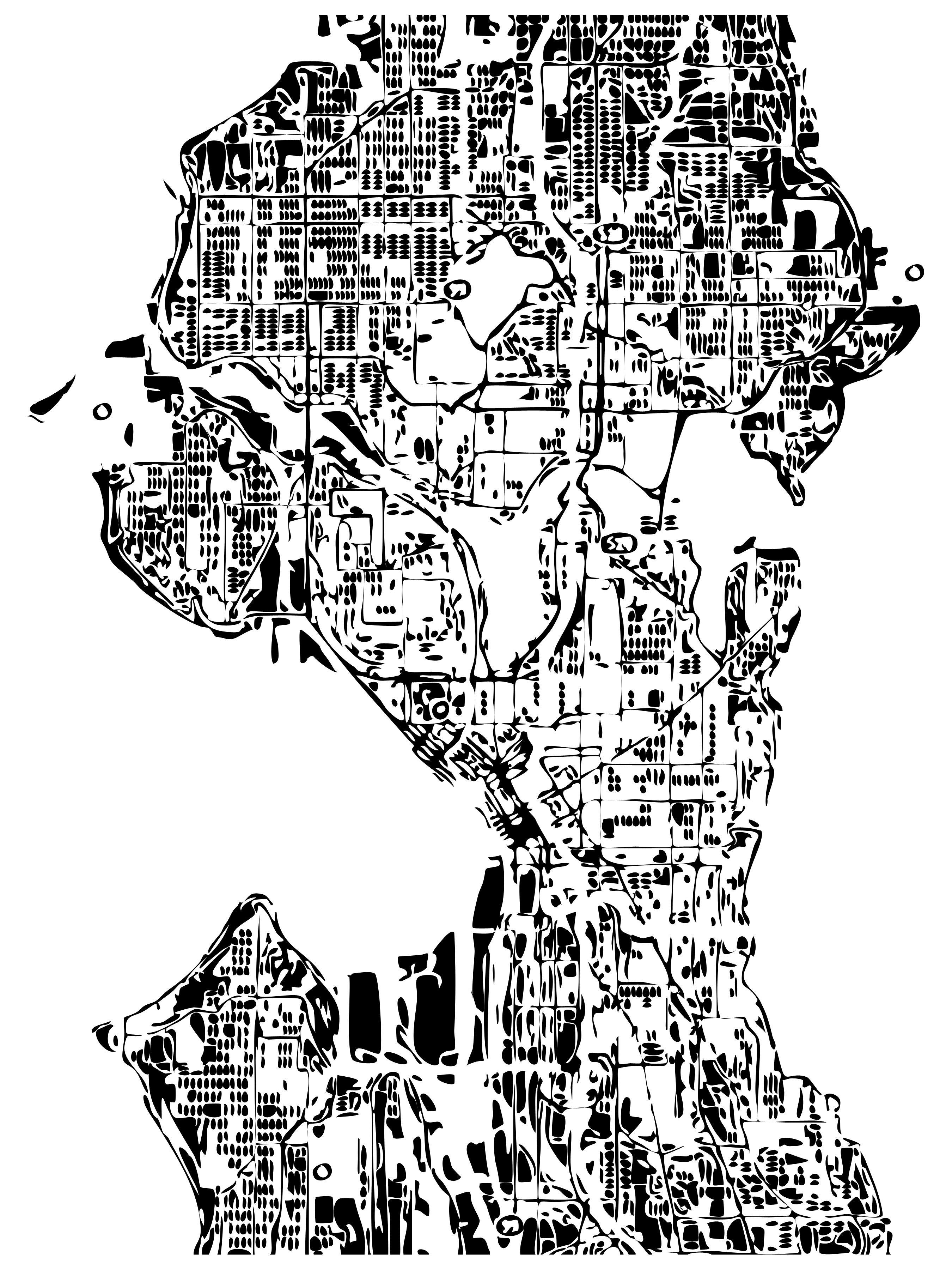 I "repurposed" a google map and made this cool outline of Seattle ...