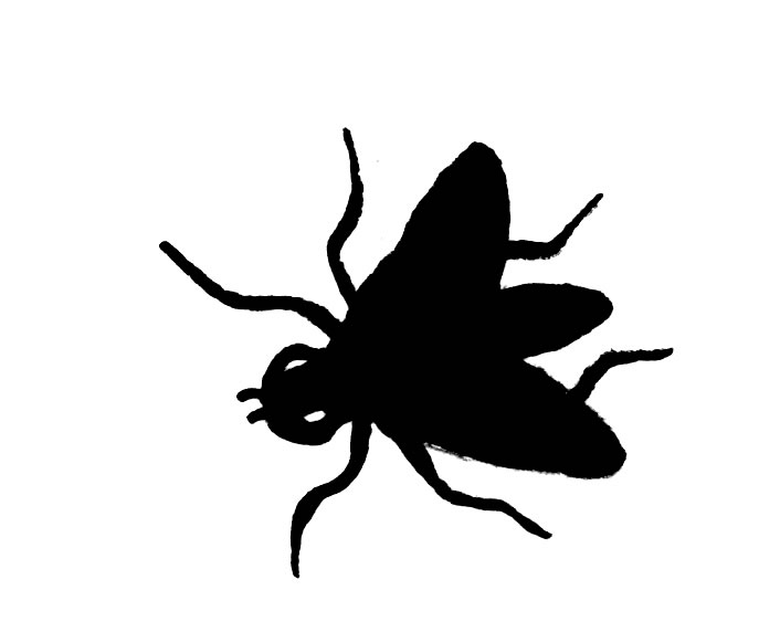 Fly 20clipart | Clipart Panda - Free Clipart Images