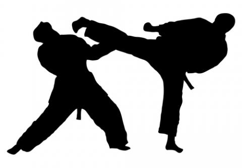 New Jersey Martial Arts | Many Other Benefits | Taekwondo Fair ...