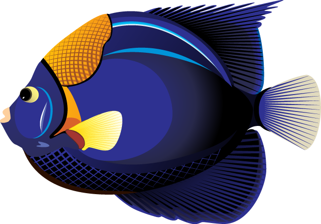 Tropical Fish Clip Art - ClipArt Best