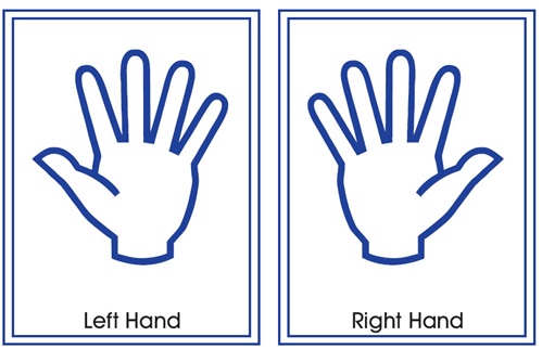 Left Hand - ClipArt Best