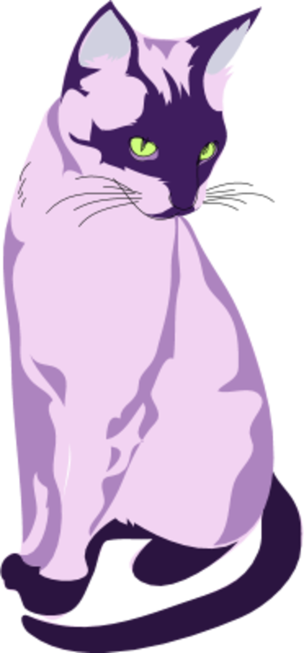 Siamese cat - vector Clip Art
