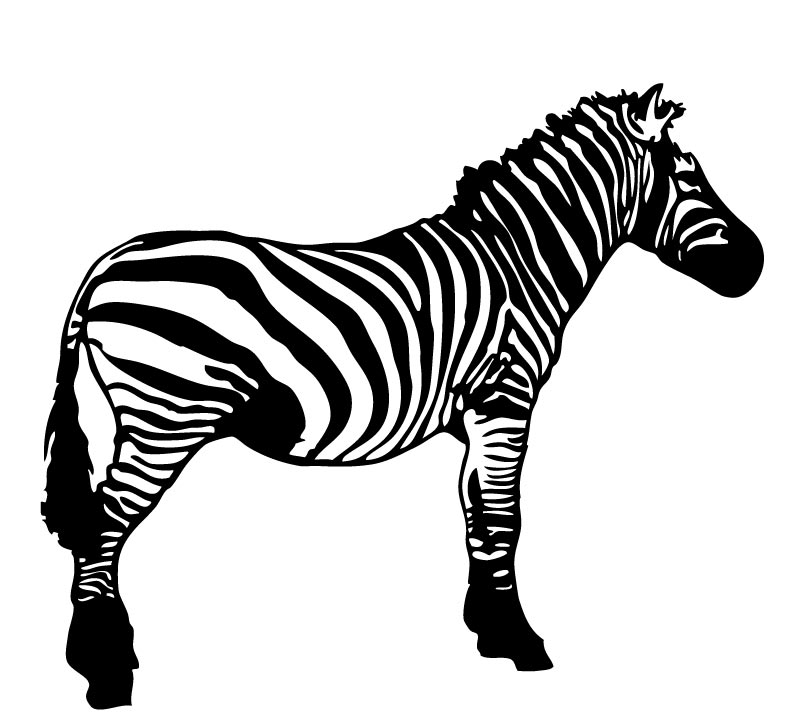 Cartoon Zebra Clip Art - Cliparts.co