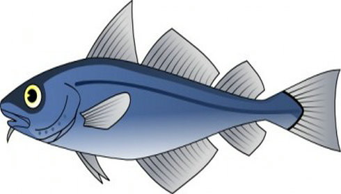Fish Clip Art | Free Vector Download - Graphics,Material,EPS,Ai ...