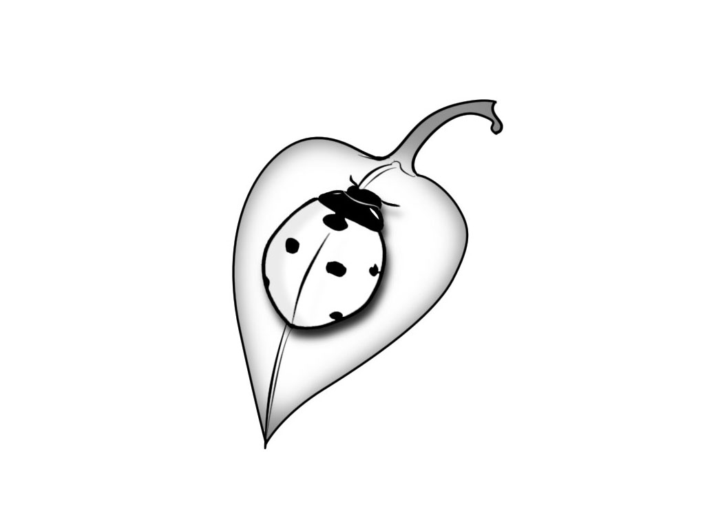 Free designs - Black white ladybug tattoo wallpaper