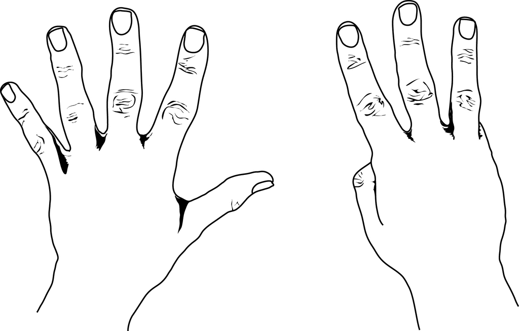 United States Style Counting Hands | ClipArt ETC