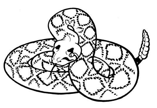 Rattlesnake Drawings - ClipArt Best