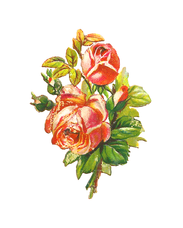 Antique Images: Free Flower Clip Art: Red and Pink Rose Graphics ...