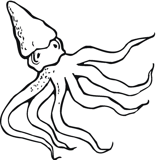 cartoon octopus coloring pages | Coloring Kids