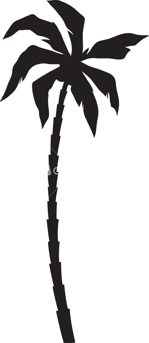 Vector Palm Tree Stock Image