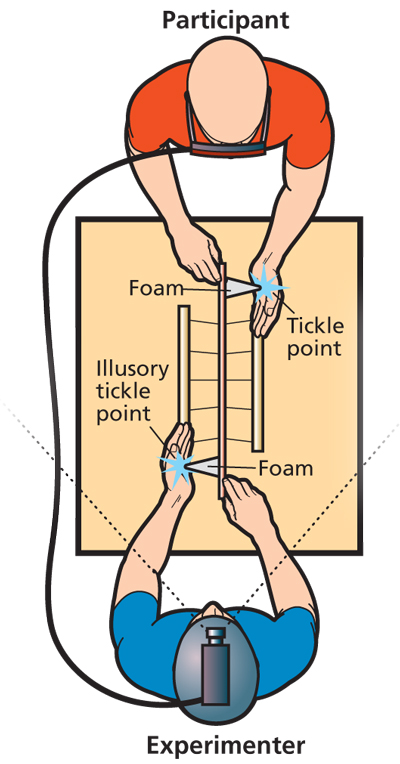 Why We Can't Tickle Ourselves | DiscoverMagazine.com