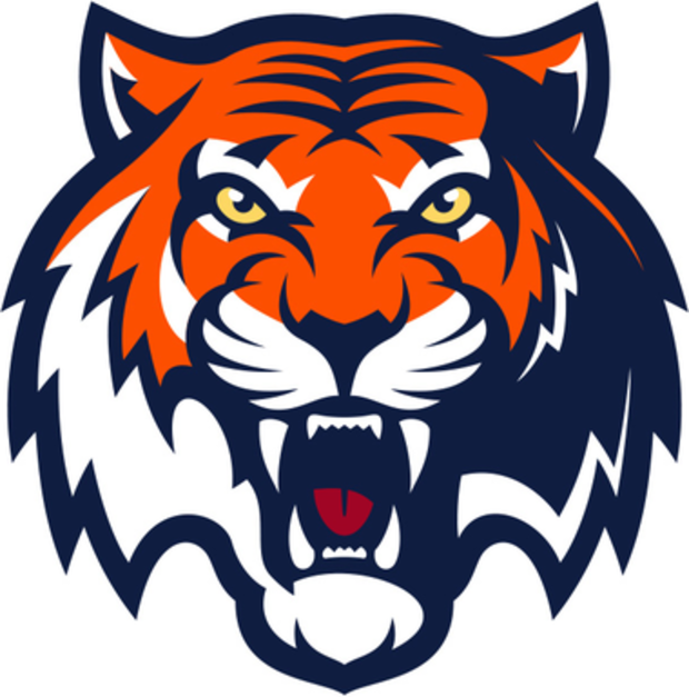 AL.com readers voice opinions on Auburn's Tiger logos | AL.com