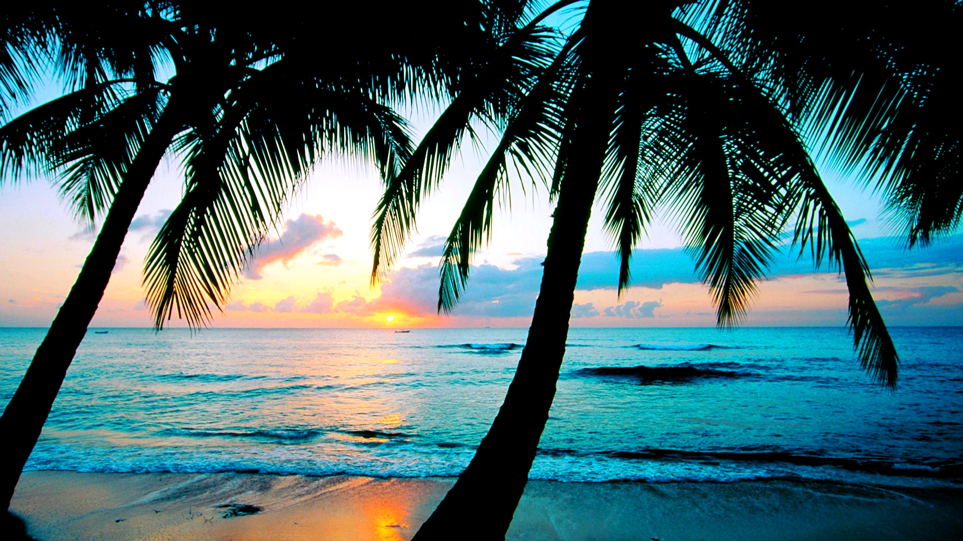 Beach Background wallpaper | 1366x768 | #1604