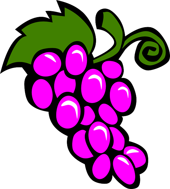 SIMPLE, FOOD, FRUIT, GRAPES, DRAWING, CARTOON, PURPLE - Public ...