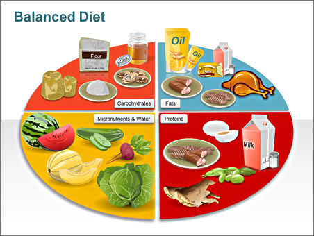 PowerPoint Presentation about Food - Showing Food Groups ...