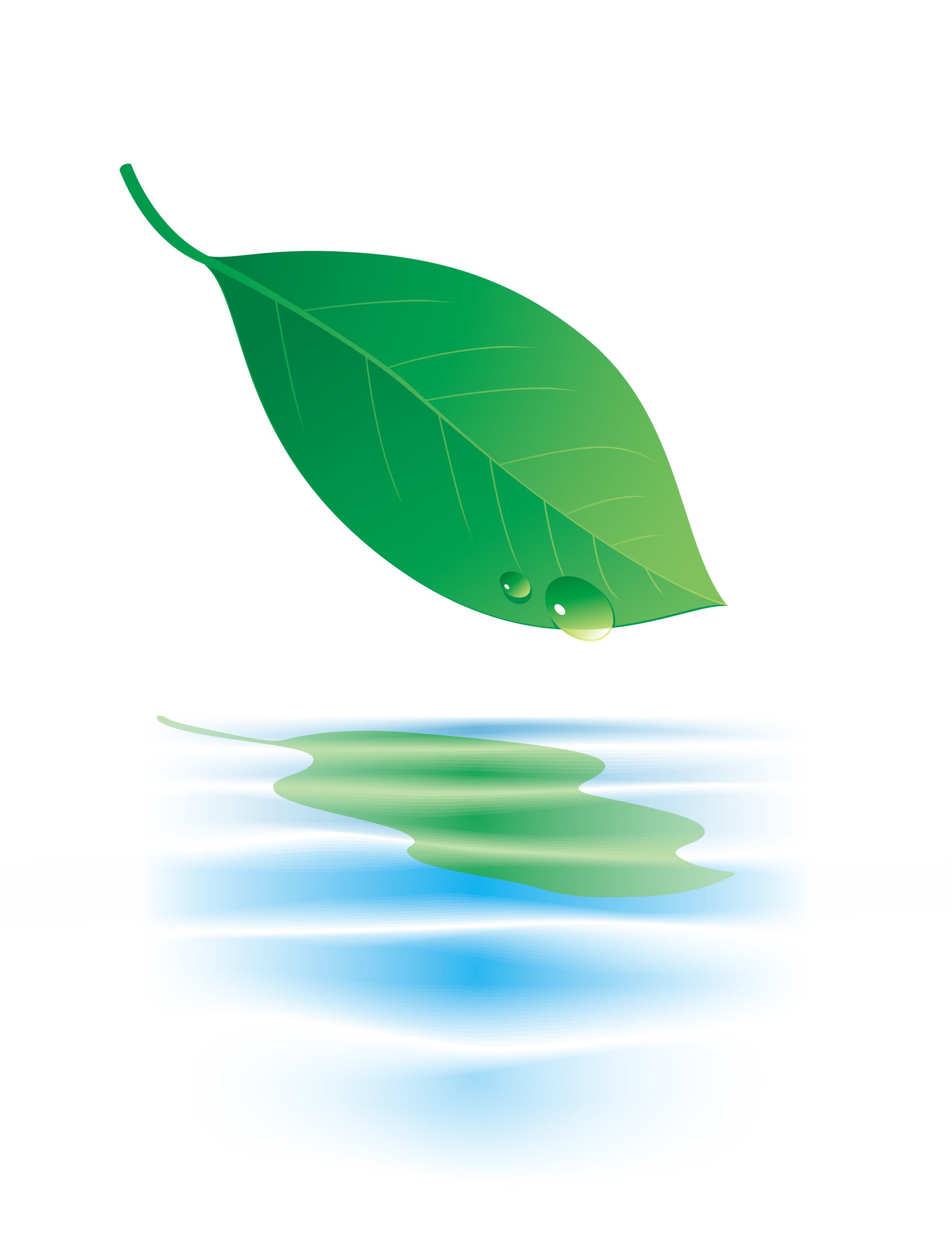 Inquiry-based Activities for the 12 Principles of Plant Biology ...