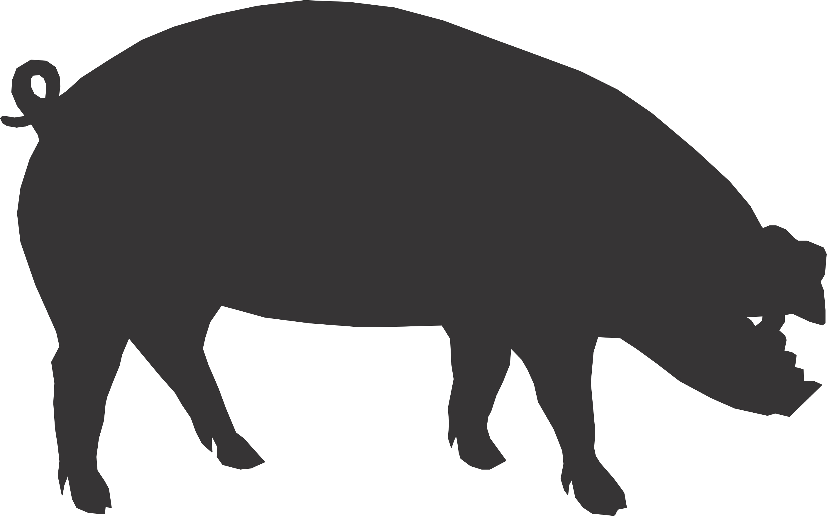 Pig Silhouette | xoVain