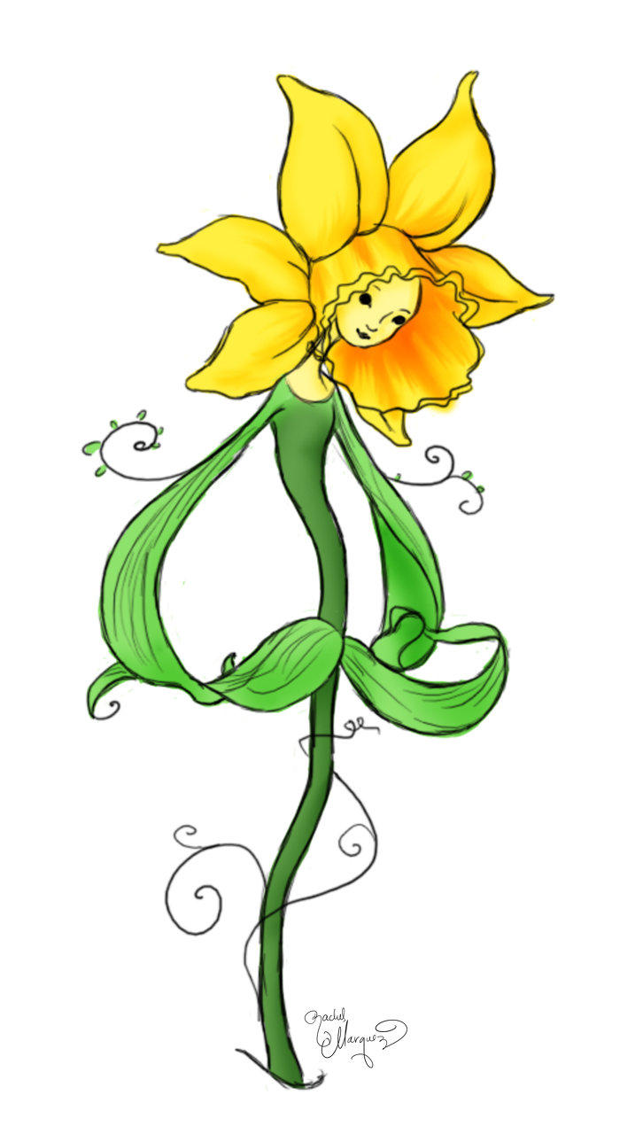 Daffodil Drawing | DrawingSomeone.com