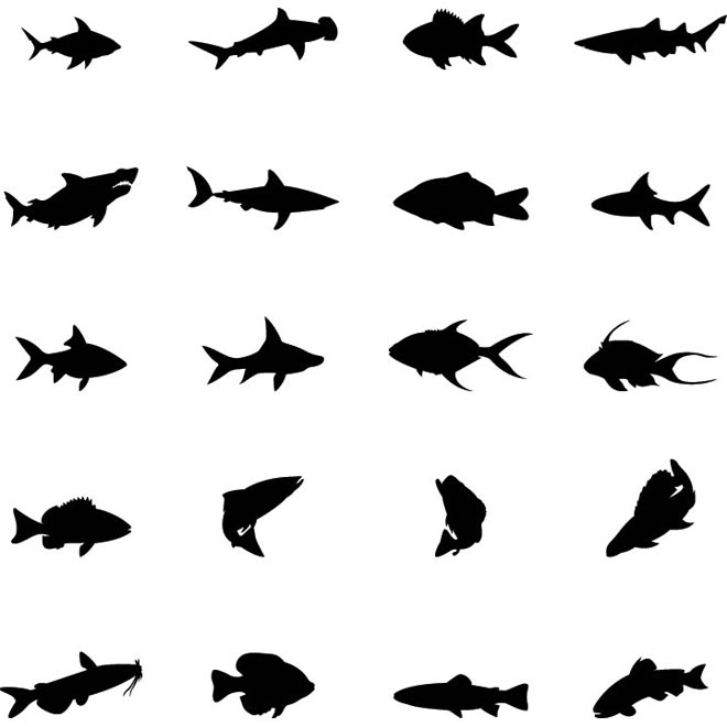 Fishing | Free vector Graphics | Download Free Vector illustration ...