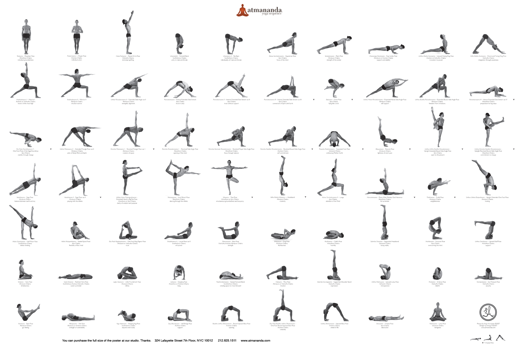 Yoga Poses For Beginners At Home Chart | Human Body Anatomy